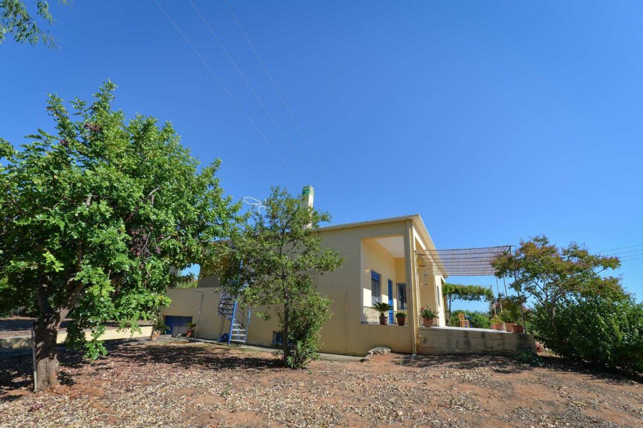 Santa Domenica Summer House Agia Kiriaki  Exterior foto